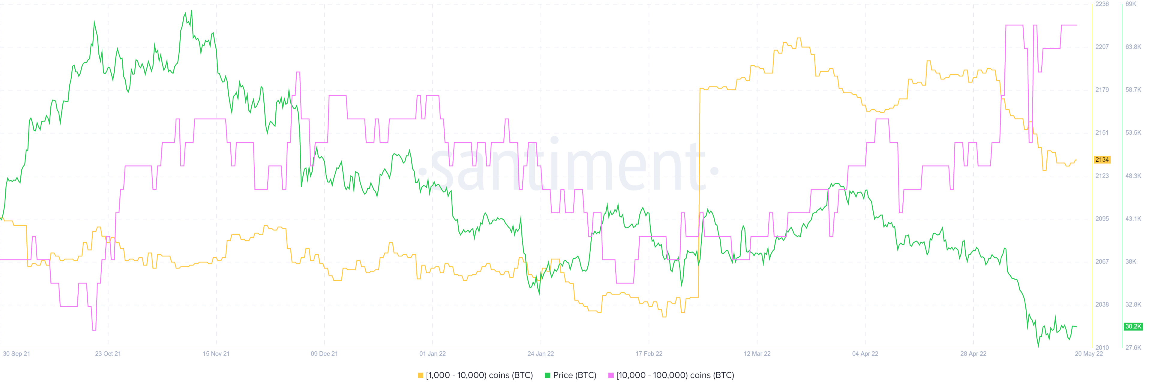 BTC supply distribution 